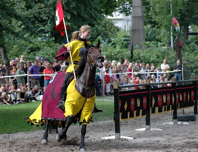 2005_0813 (23).JPG - Presentation av riddarna